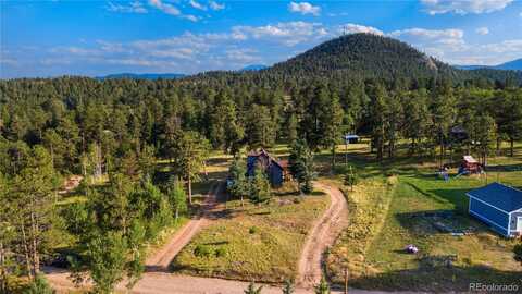 156 Pinon Road, Bailey, CO 80421