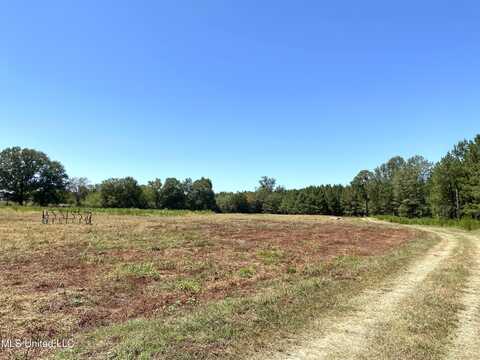 787 Highway 487, Carthage, MS 39051