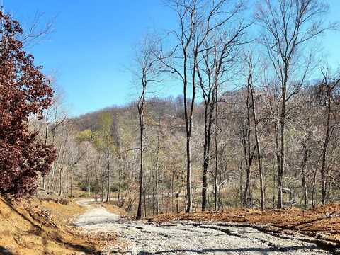 0 Goat Hollow Estates Lot 1, Martinsville, IN 46151