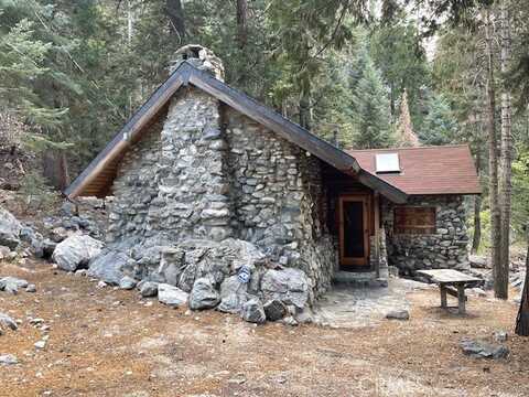 9620 Falls Road, Forest Falls, CA 92339