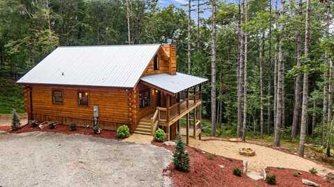 110 Pigeon Creek Drive, Blue Ridge, GA 30513