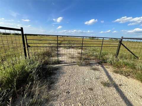 Tbd Lot 36 County road 621, Pottsville, TX 76565