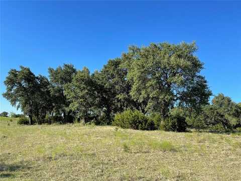 1 Alta Vista Court, Granbury, TX 76049