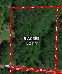 0 Grand Cane Firetower Road, Grand Cane, LA 71032