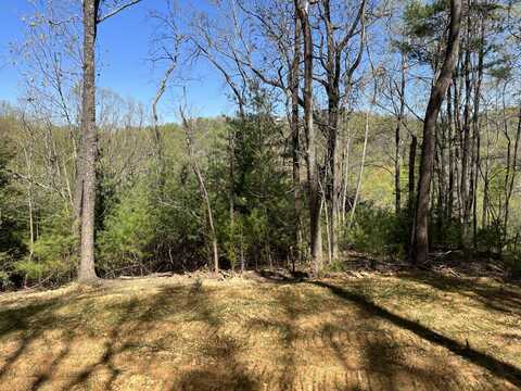 Lot 307 Sleepy Creek Trail, Deep Gap, NC 28618