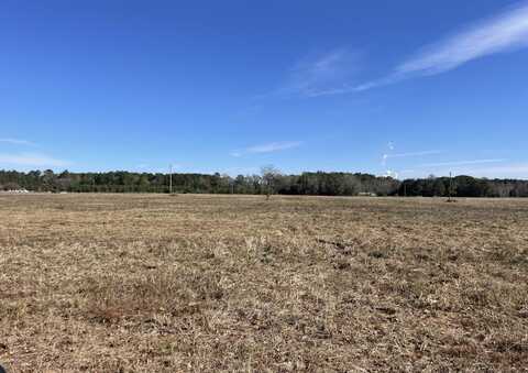 0 Spring Plains Road, Cross, SC 29436