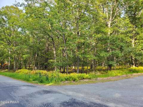 Lot 201 Tink Wig Drive, Hawley, PA 18428