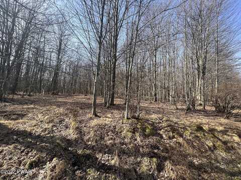 Lot 394 Snowshoe Circle, Lake Ariel, PA 18436