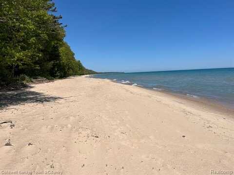 1529 Black rock beach Dr, Harrisville, MI 48740