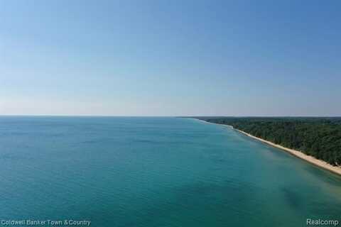 1469 Black Rock Beach dr, Harrisville, MI 48740