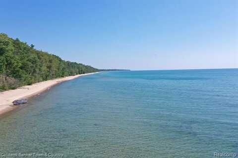 1339 Black Rock beach Dr, Harrisville, MI 48740