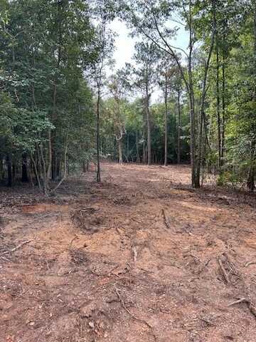 4540 Seymour Rd Lot 5, Dalzell, SC 29040