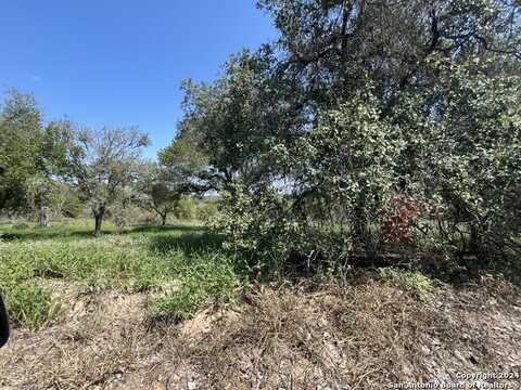 Lot D 497 County Rd 124, Floresville, TX 78114