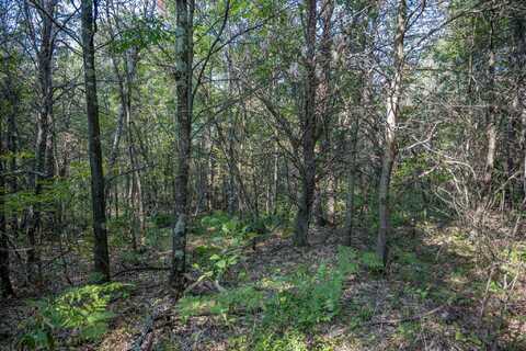 Lot 4 20th Street, Necedah, WI 54646