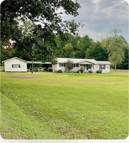 6700 County Line Rd, Leighton, AL 35646