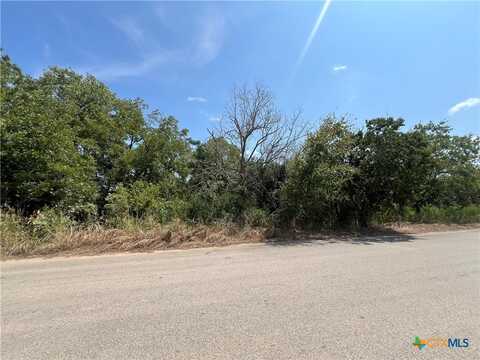 1140 N Hackberry Avenue, Luling, TX 78648