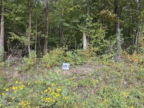 Lot 1 Doll Branch Road, Milton, NC 27305