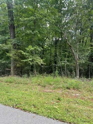 Lot 2 Martinsville Trail Road, Bowling Green, KY 42104