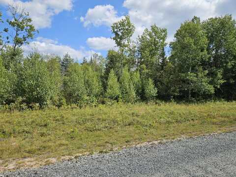 Lot 16 Daigneau Trail, Merrillsville, NY 12989