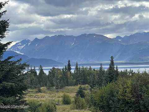 54490 Rolling Meadows Road, Homer, AK 99603