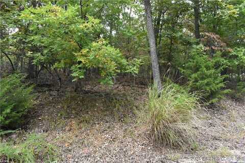 Lot 1213 Spring Creek Court, Sunrise Beach, MO 65079