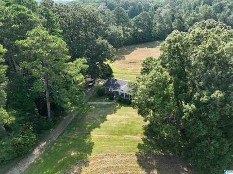 3678 HIGHWAY 132, ONEONTA, AL 35121