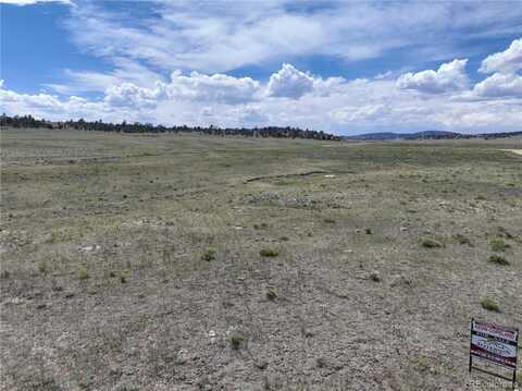 236 Cheyenne Trail, Hartsel, CO 80449