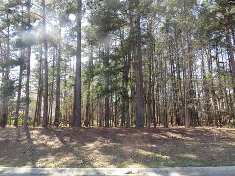 203 Beaver Lake Drive, Elgin, SC 29045