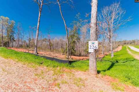 0 Lands End Lane, Prosperity, SC 29127