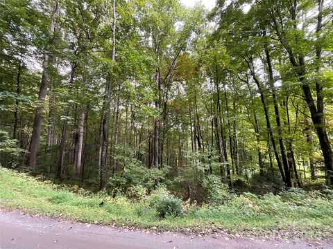 13 Fern Trail, Waynesville, NC 28786