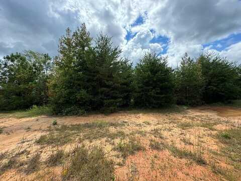 Lot 17 GOLF CLUB RD, Danville, VA 24540