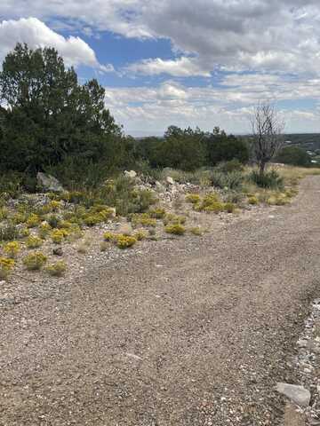 45 MORPER Lane, Edgewood, NM 87015