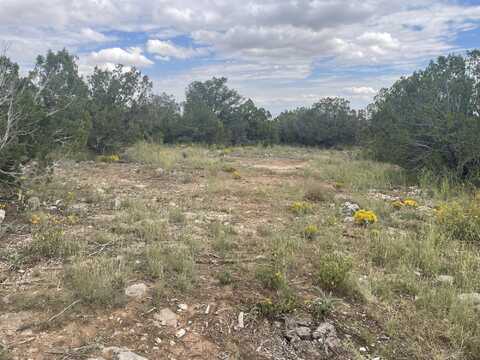 29 MORPER Lane, Edgewood, NM 87015