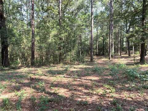 0 Leroy Stevens Road, Mobile, AL 36619