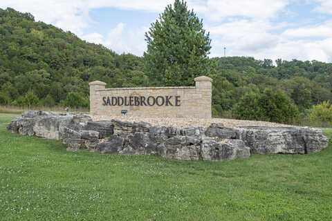 132 A Seven Pines Drive, Saddlebrooke, MO 65630