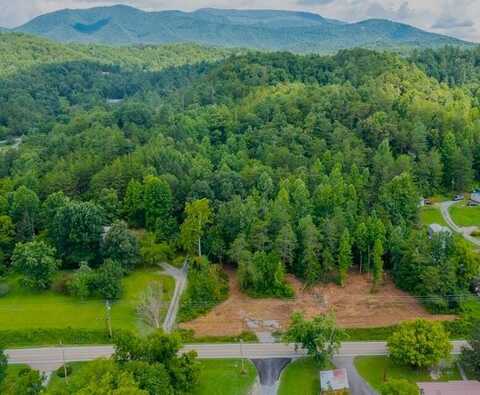 4735,37,39 Jones Cove Road, Cosby, TN 37722