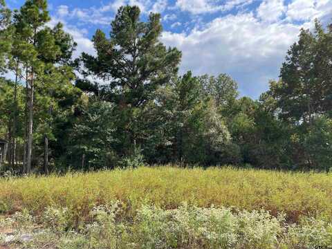 19363 Cedarpark Place Lot 33, Lindale, TX 75771