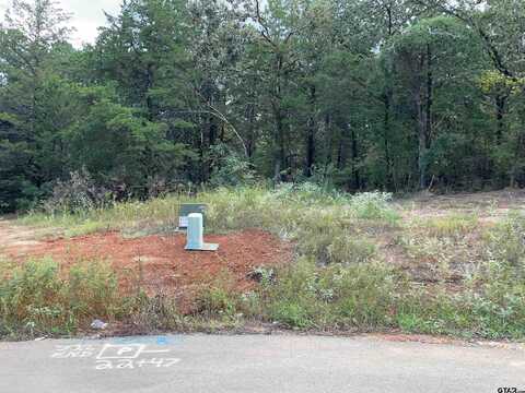 Tbd Cedarpark Place Lot 21, Lindale, TX 75771