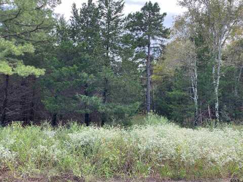 Tbd Cedarpark Place Lot 25, Lindale, TX 75771