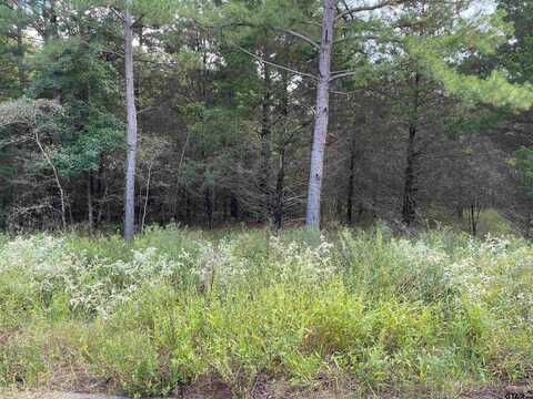 Tbd Cedarpark Place Lot 26, Lindale, TX 75771