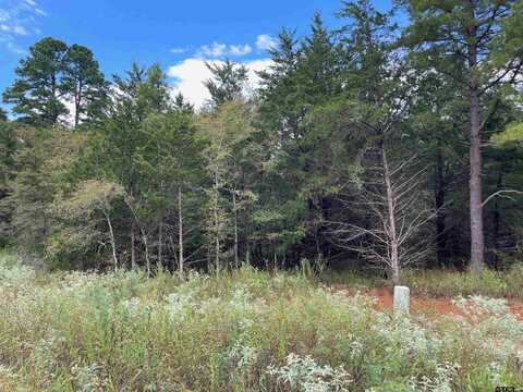 Tbd Cedarpark Place Lot 18, Lindale, TX 75771