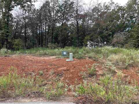 Tbd Cedarpark Place Lot 20, Lindale, TX 75771