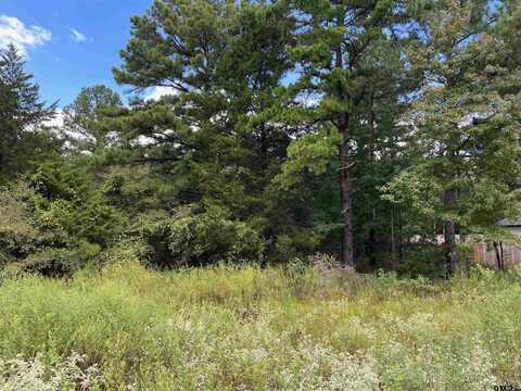 Tbd Cedarpark Place Lot 16, Lindale, TX 75771