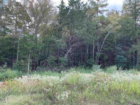 19461 Cedarpark Place Lot 23, Lindale, TX 75771