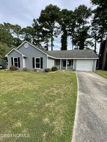 217 E Lakeridge Landing, Jacksonville, NC 28546