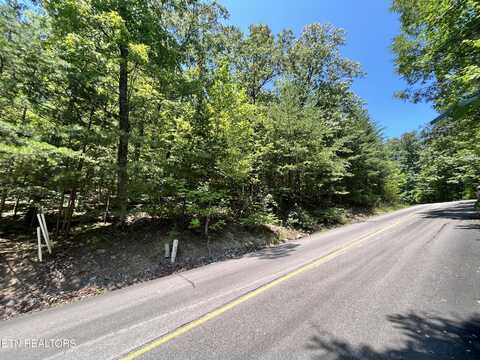 Lot 45 Patriot Lane, Sevierville, TN 37862