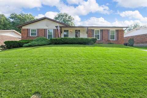 13384 Talleywood Drive, Black Jack, MO 63033