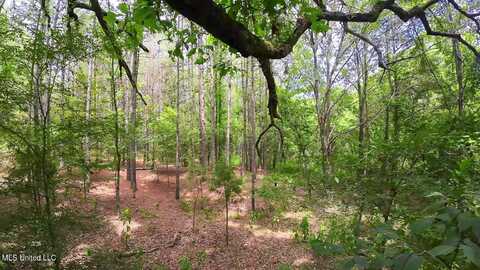 Scallions Road, Cascilla, MS 38920