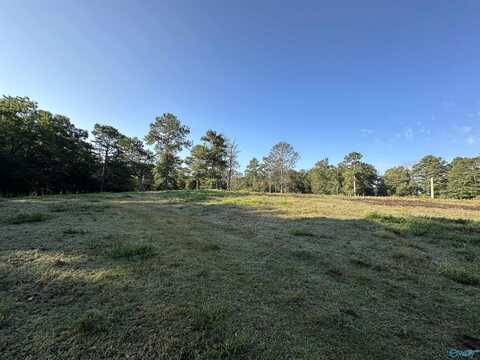 20 Acres County Road 432, Fyffe, AL 35971