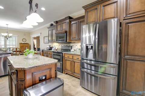 3501 SW Napa Valley Way, Decatur, AL 35603